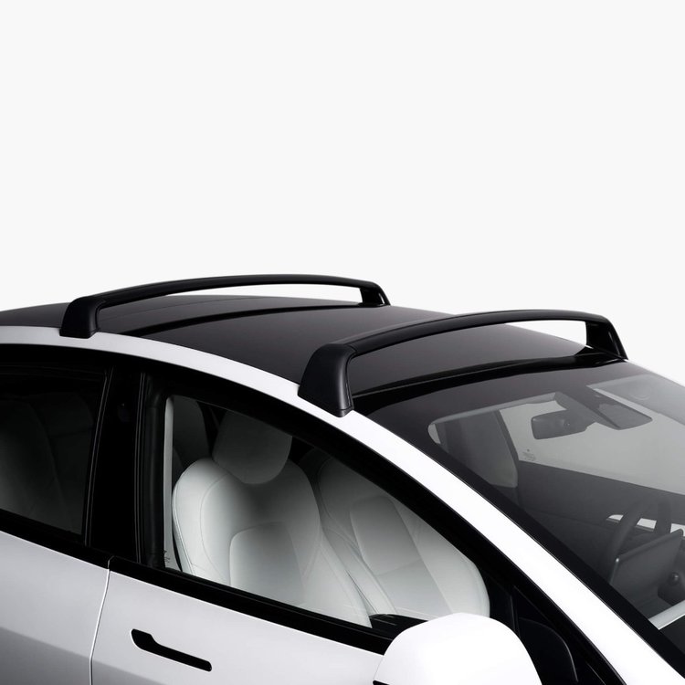 tesla roof rack 1.jpg